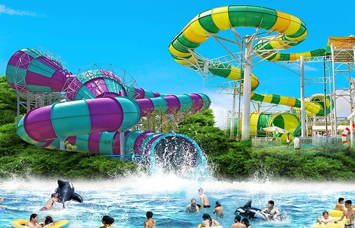 jinnianhui今年会新闻